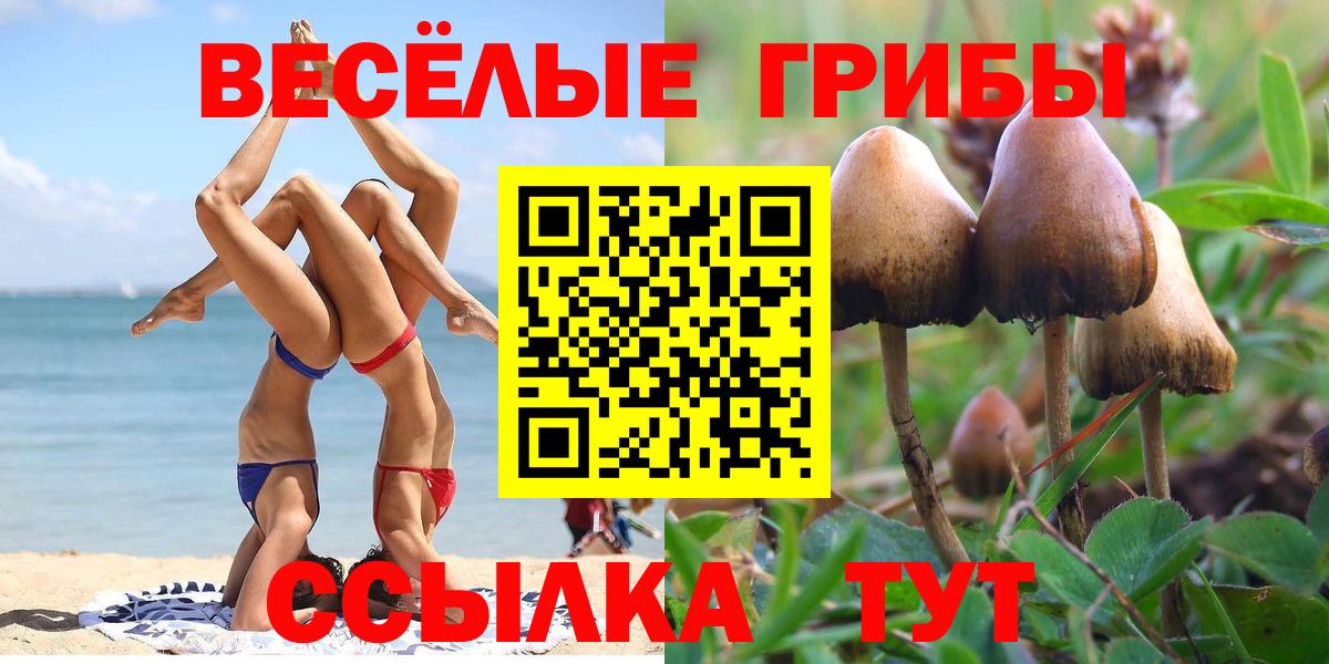 Симферополь  цена наркотик  Вход с VPN  Галлюциногенные грибы Cubensis 